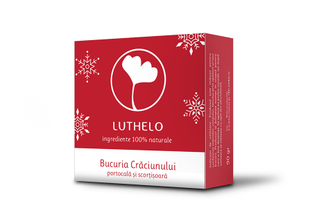 Bucuria Craciunului 10 + 1 CADOU - portocala, scortisoara si vanilie